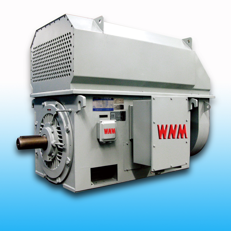 Y、YKS、YKK系列中型電機(jī)（6KV/10KV）
