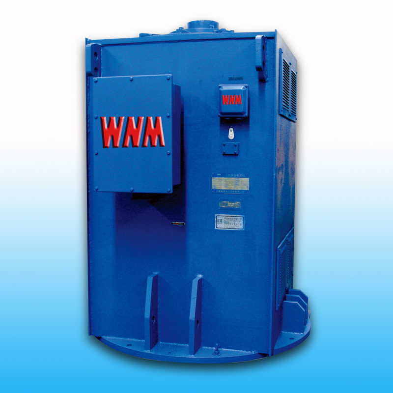 YL、YLKK系列立式電機(jī)（6KV/10KV）